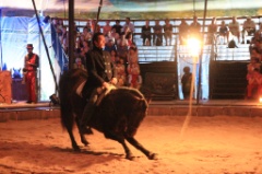 Cavale 3 * 5184 x 3456 * (8.94MB)